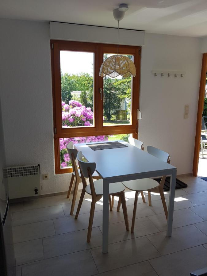 Feriendomizil Am Zeulenrodaer Meer Zadelsdorf Esterno foto